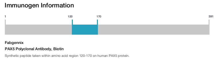 PAX5 Polyclonal Antibody, Biotin