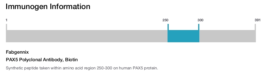 PAX5 Polyclonal Antibody, Biotin