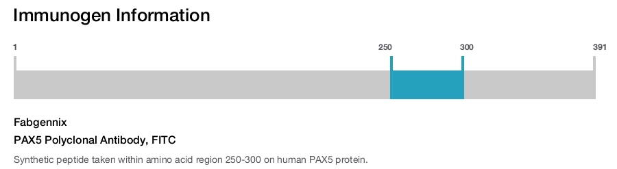 PAX5 Polyclonal Antibody, FITC