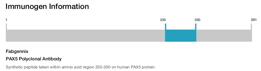 PAX5 Polyclonal Antibody