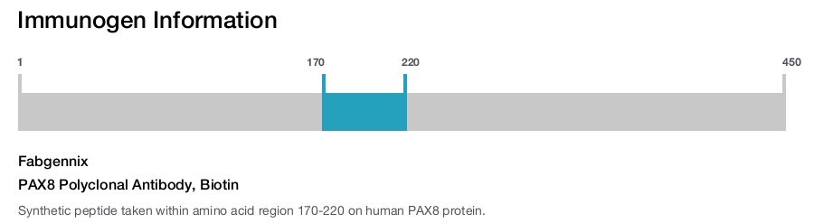 PAX8 Polyclonal Antibody, Biotin