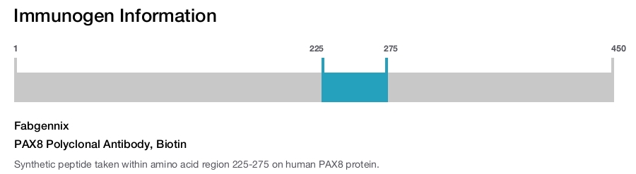 PAX8 Polyclonal Antibody, Biotin