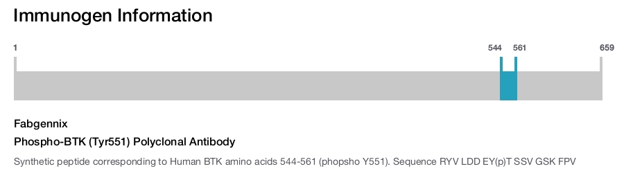 Phospho-BTK (Tyr551) Polyclonal Antibody