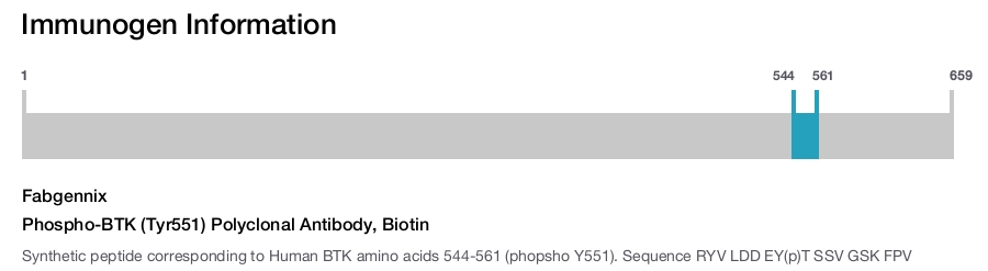 Phospho-BTK (Tyr551) Polyclonal Antibody, Biotin