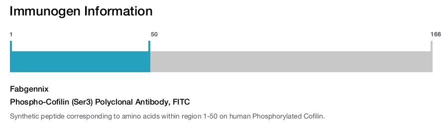 Phospho-Cofilin (Ser3) Polyclonal Antibody, FITC