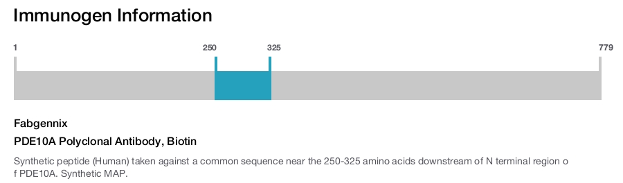 PDE10A Polyclonal Antibody, Biotin