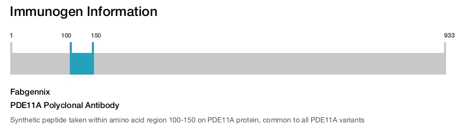 PDE11A Polyclonal Antibody