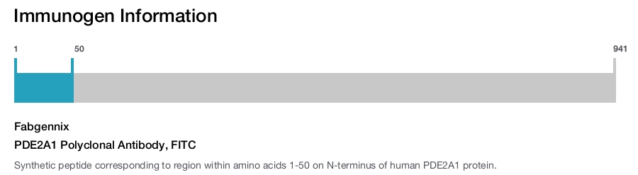 PDE2A1 Polyclonal Antibody, FITC