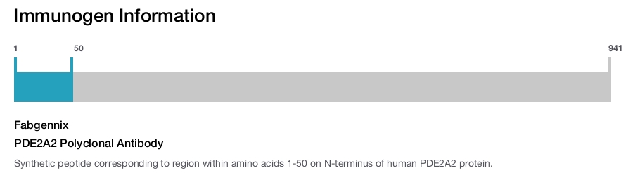PDE2A2 Polyclonal Antibody