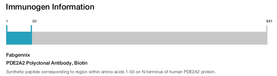 PDE2A2 Polyclonal Antibody, Biotin