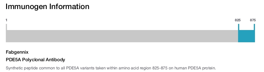 PDE5A Polyclonal Antibody