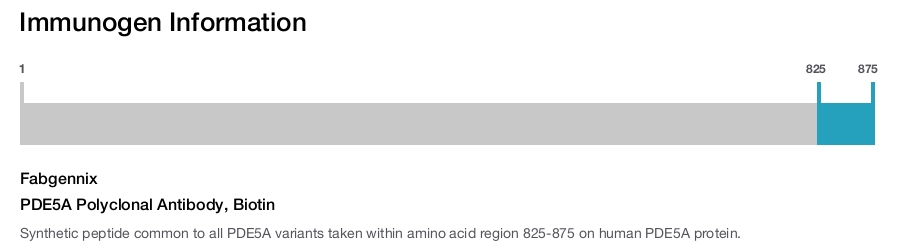 PDE5A Polyclonal Antibody, Biotin