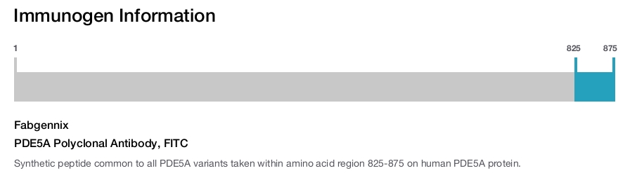 PDE5A Polyclonal Antibody, FITC