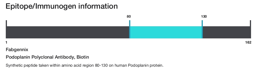 Podoplanin Polyclonal Antibody, Biotin