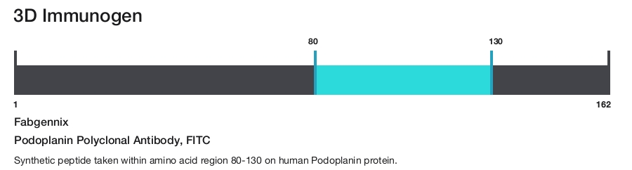 Podoplanin Polyclonal Antibody, FITC