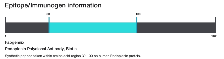 Podoplanin Polyclonal Antibody, Biotin