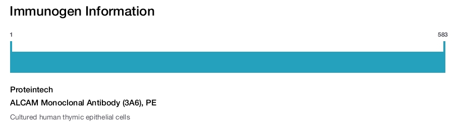 ALCAM Monoclonal Antibody (3A6), PE