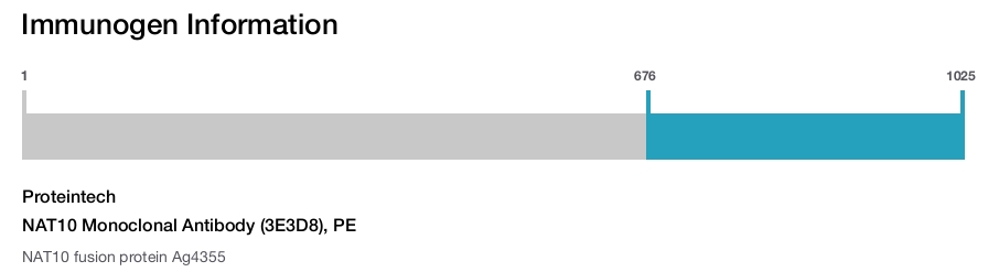 NAT10 Monoclonal Antibody (3E3D8), PE