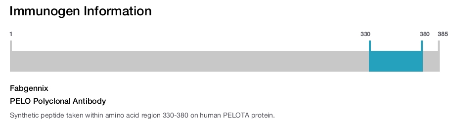 PELO Polyclonal Antibody
