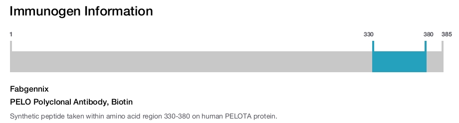 PELO Polyclonal Antibody, Biotin