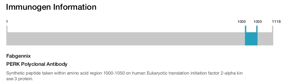 PERK Polyclonal Antibody