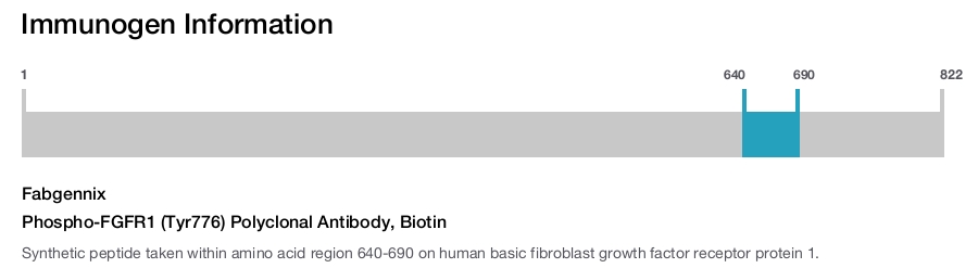 Phospho-FGFR1 (Tyr776) Polyclonal Antibody, Biotin