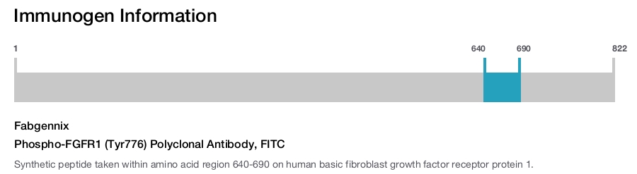 Phospho-FGFR1 (Tyr776) Polyclonal Antibody, FITC