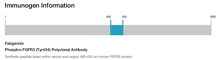 Phospho-FGFR3 (Tyr434) Polyclonal Antibody