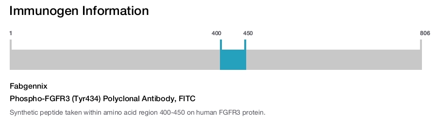 Phospho-FGFR3 (Tyr434) Polyclonal Antibody, FITC