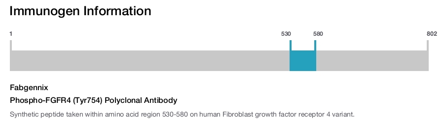 Phospho-FGFR4 (Tyr754) Polyclonal Antibody