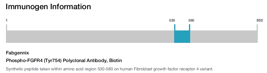 Phospho-FGFR4 (Tyr754) Polyclonal Antibody, Biotin