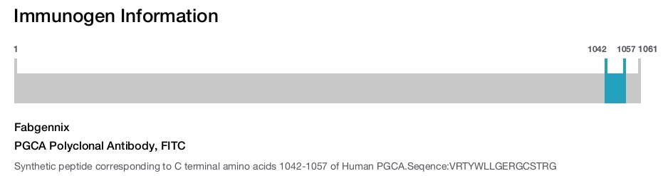 PGCA Polyclonal Antibody, FITC