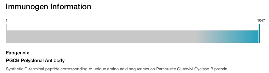 PGCB Polyclonal Antibody