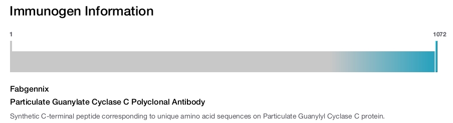Particulate Guanylate Cyclase C Polyclonal Antibody