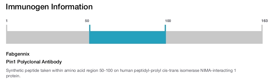 Pin1 Polyclonal Antibody