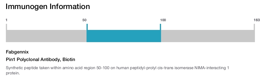 Pin1 Polyclonal Antibody, Biotin