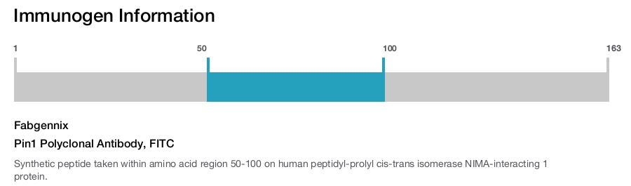 Pin1 Polyclonal Antibody, FITC