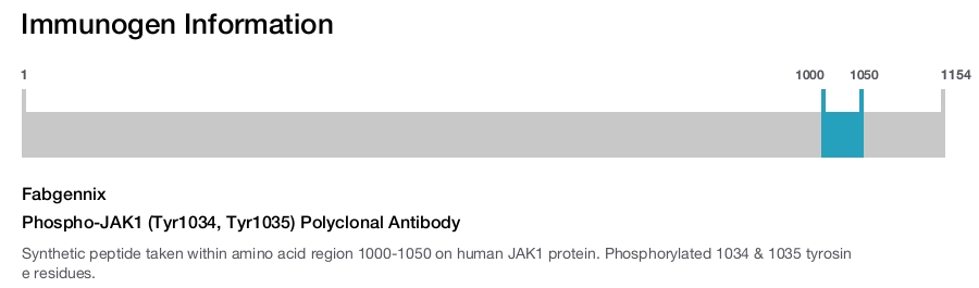 Phospho-JAK1 (Tyr1034, Tyr1035) Polyclonal Antibody