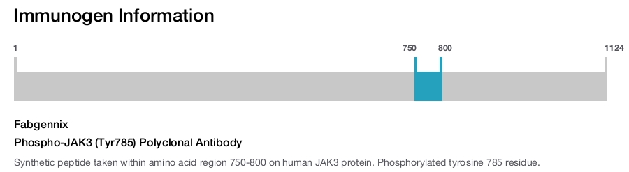 Phospho-JAK3 (Tyr785) Polyclonal Antibody