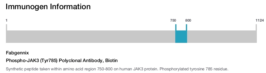Phospho-JAK3 (Tyr785) Polyclonal Antibody, Biotin