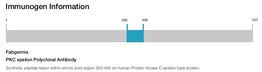 PKC epsilon Polyclonal Antibody