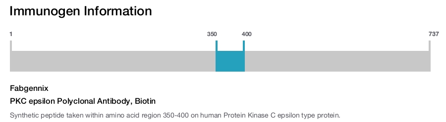 PKC epsilon Polyclonal Antibody, Biotin