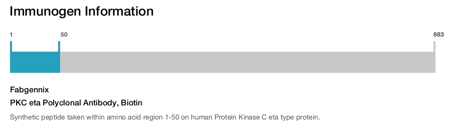 PKC eta Polyclonal Antibody, Biotin