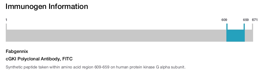 cGKI Polyclonal Antibody, FITC