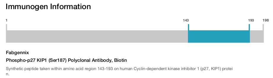 Phospho-p27 KIP1 (Ser187) Polyclonal Antibody, Biotin
