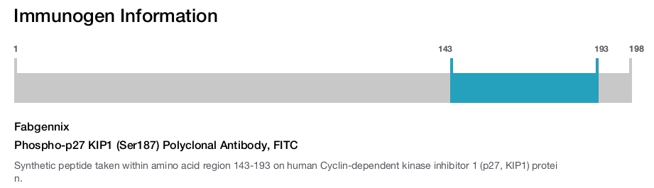 Phospho-p27 KIP1 (Ser187) Polyclonal Antibody, FITC