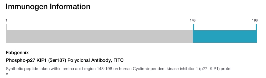 Phospho-p27 KIP1 (Ser187) Polyclonal Antibody, FITC