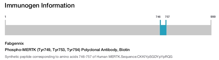 Phospho-MERTK (Tyr749, Tyr753, Tyr754) Polyclonal Antibody, Biotin