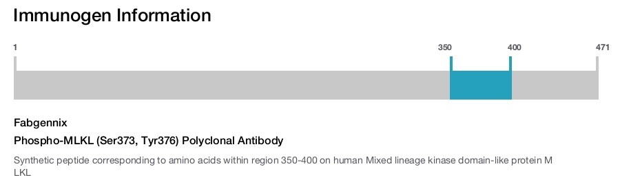 Phospho-MLKL (Ser373, Tyr376) Polyclonal Antibody