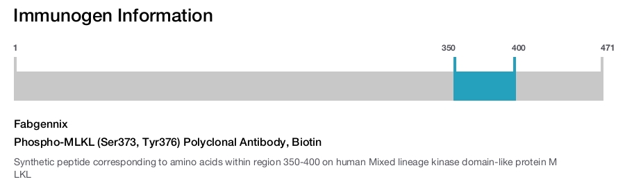Phospho-MLKL (Ser373, Tyr376) Polyclonal Antibody, Biotin